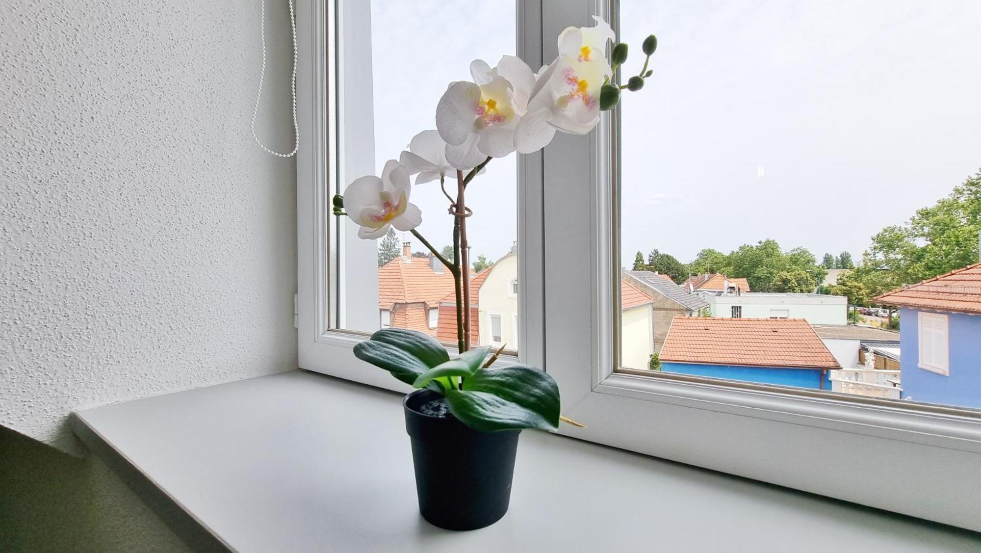 Le Triplex - 5 Chambres - 10 Pers- Fibre - Relax Bnb Мюлуз Экстерьер фото